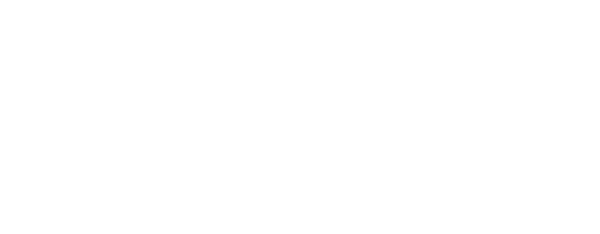 Volkswagen.png