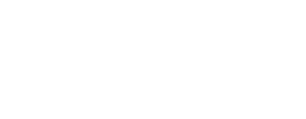 vicesvives-3.png