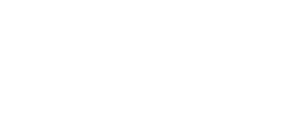 Zara-1.png